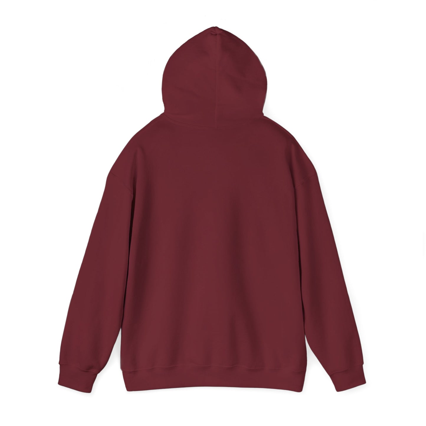Galatasaray Hoodie