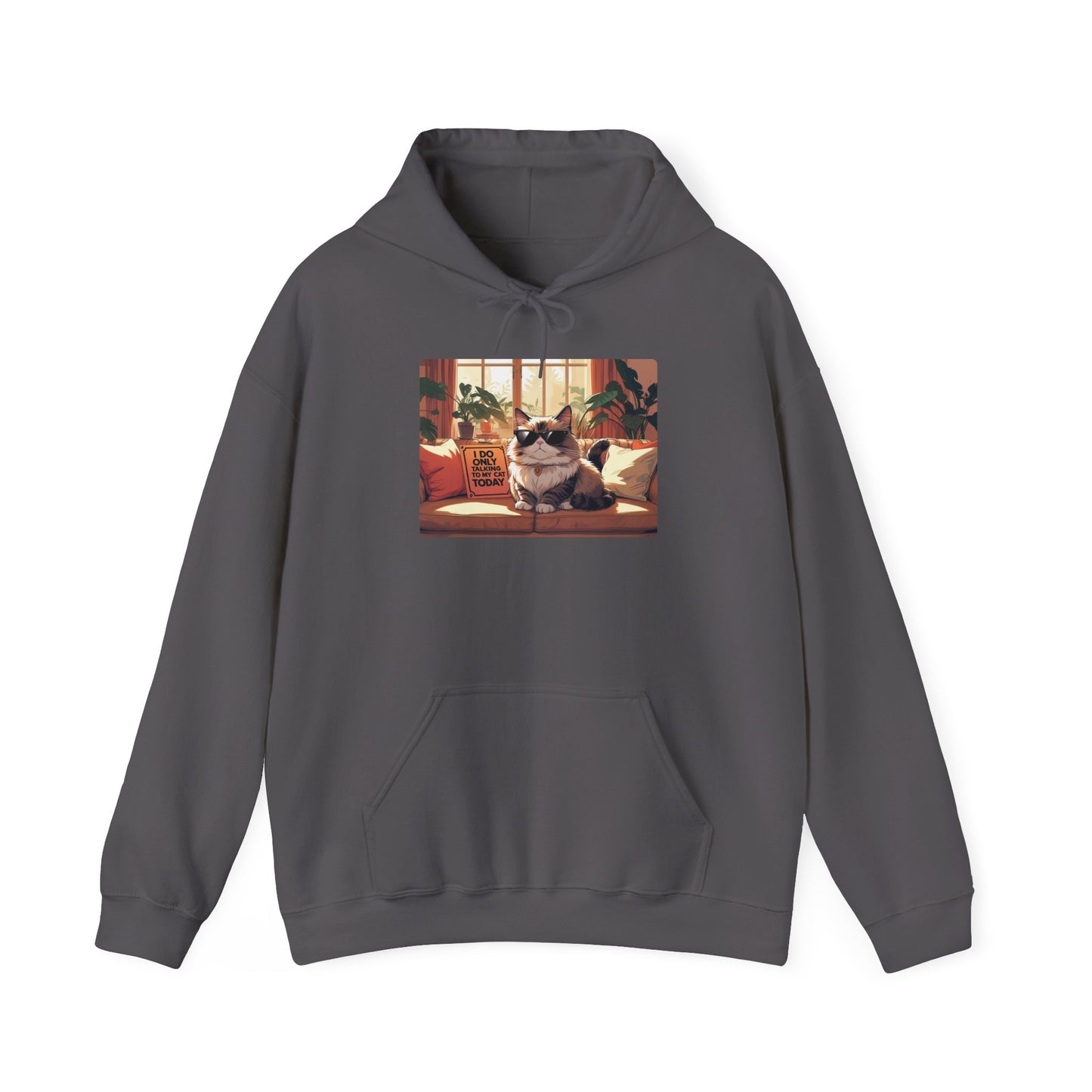 I Do Only Talking to My Cat Today Hoodie