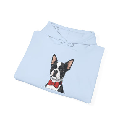 Boston Cutie Hoodie