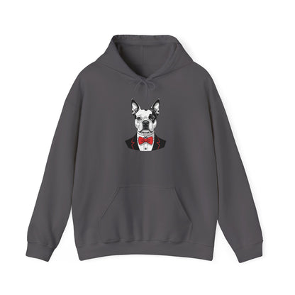 Boston Cutie Hoodie