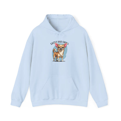 Sassy And Small Hoodie