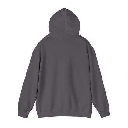 Baseball Love Hoodie