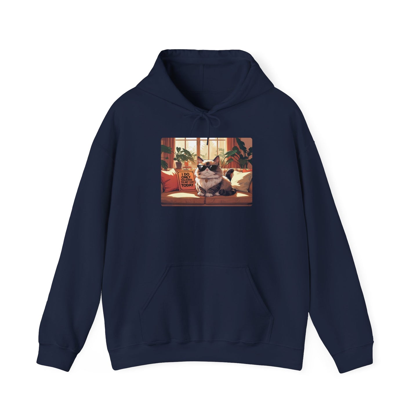 I Do Only Talking to My Cat Today Hoodie