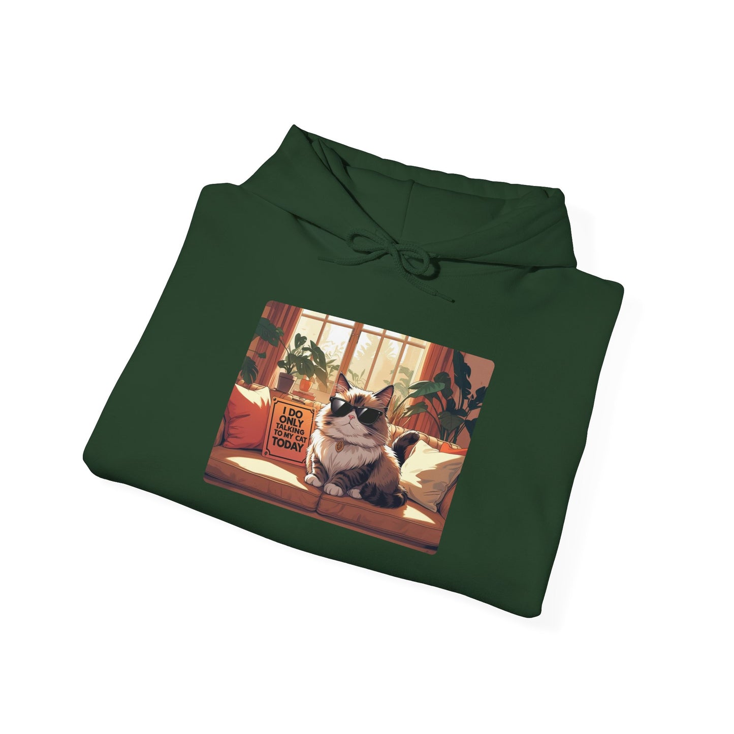 I Do Only Talking to My Cat Today Hoodie