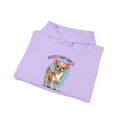 Sassy And Small Hoodie