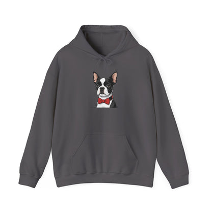 Boston Cutie Hoodie