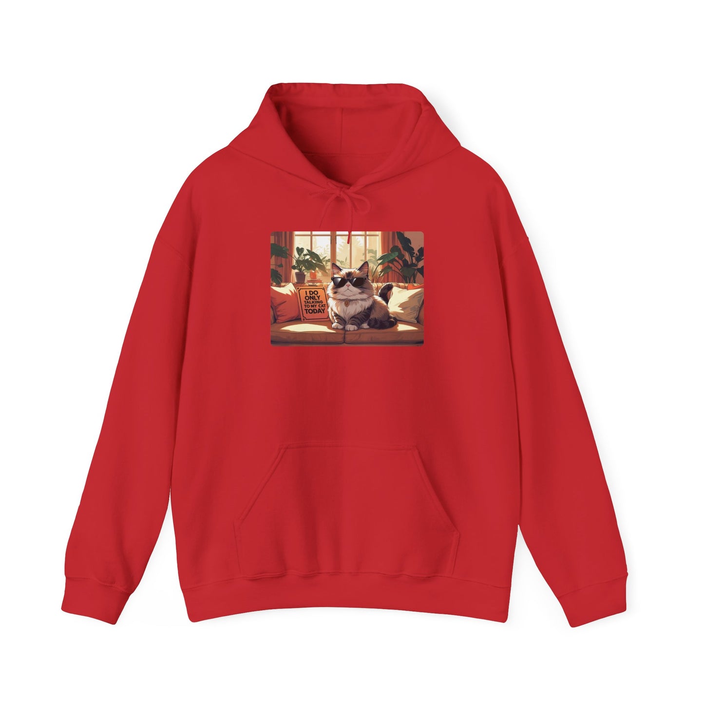 I Do Only Talking to My Cat Today Hoodie