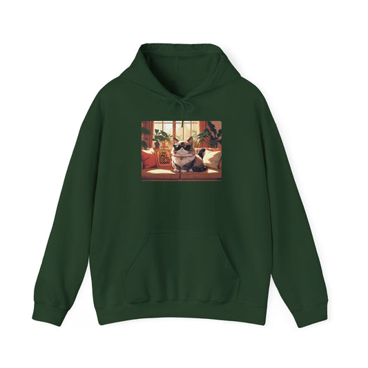 I Do Only Talking to My Cat Today Hoodie