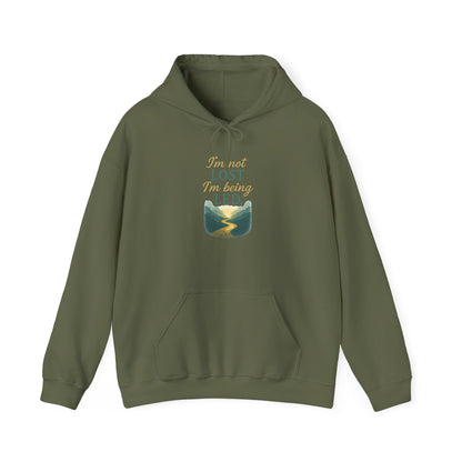I’m Not Lost I’m Being Led Hoodie