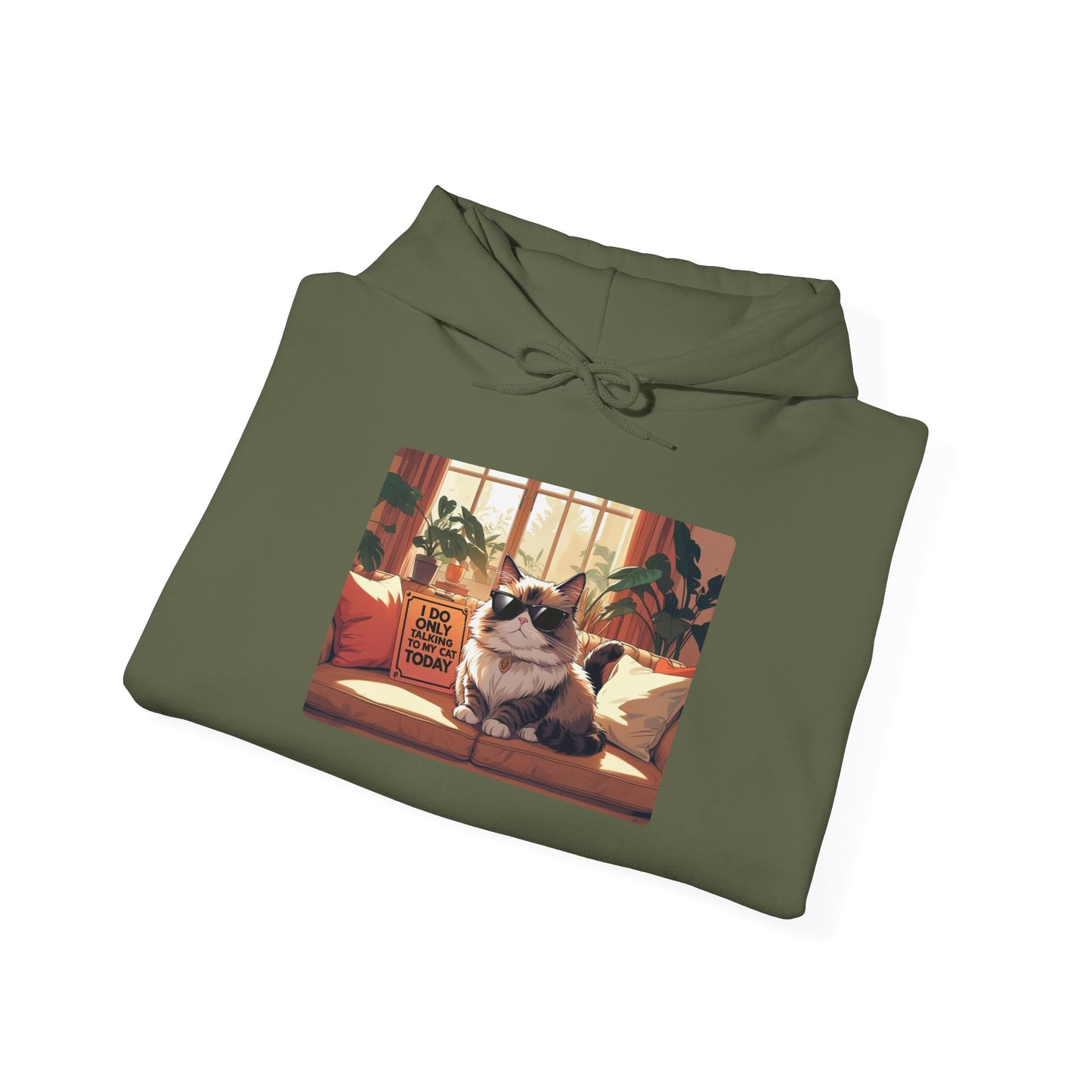 I Do Only Talking to My Cat Today Hoodie