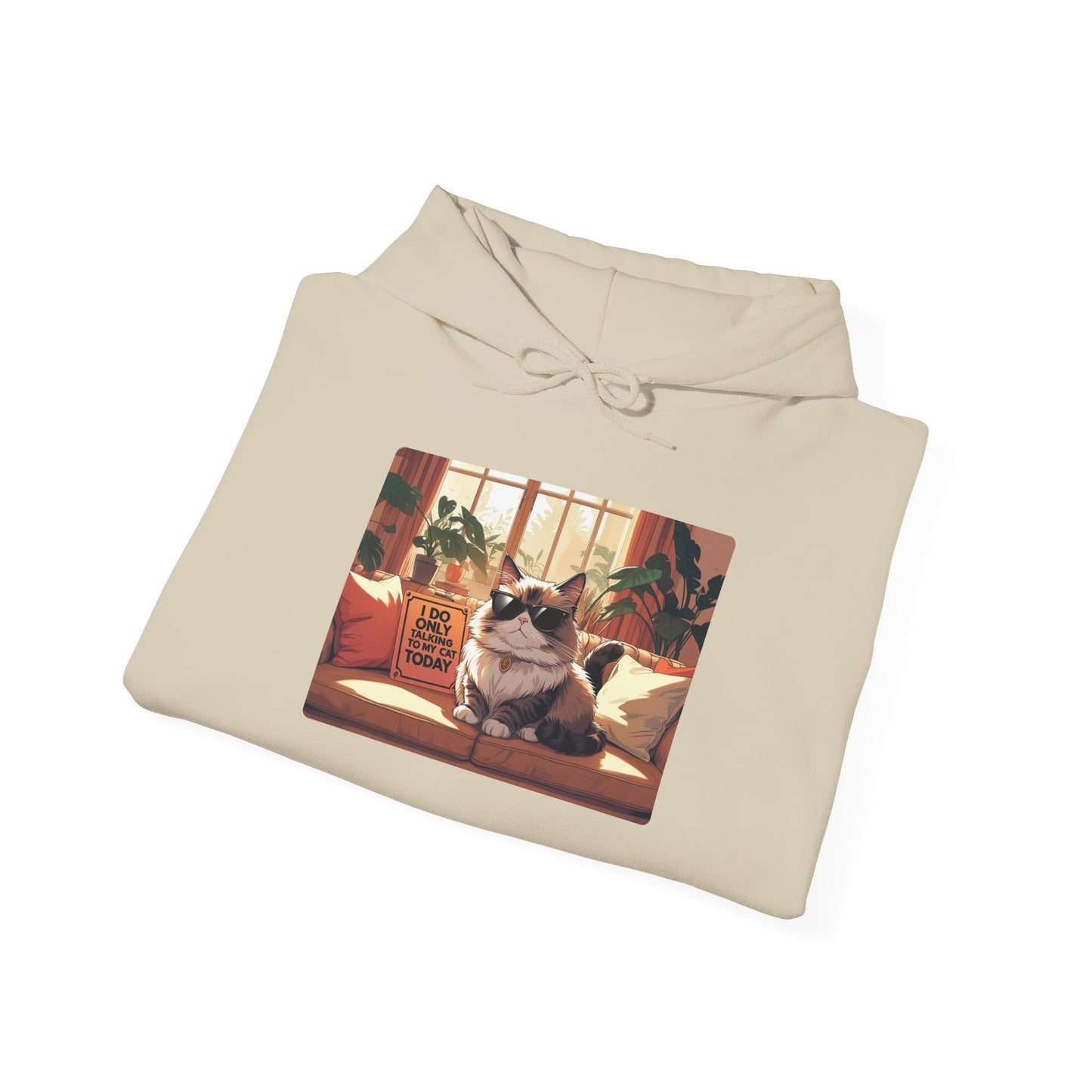 I Do Only Talking to My Cat Today Hoodie